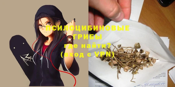 ECSTASY Горно-Алтайск
