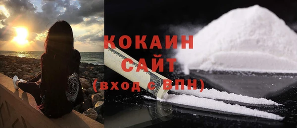 гашик Гусев