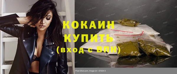 сатива Горняк