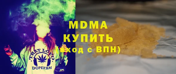 сатива Горняк