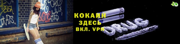 дживик Гусь-Хрустальный