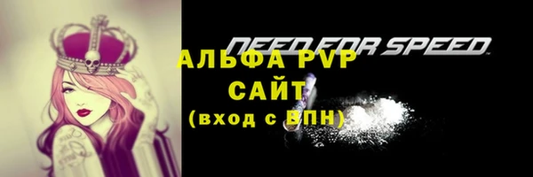 сатива Горняк