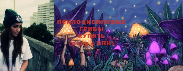 сатива Горняк