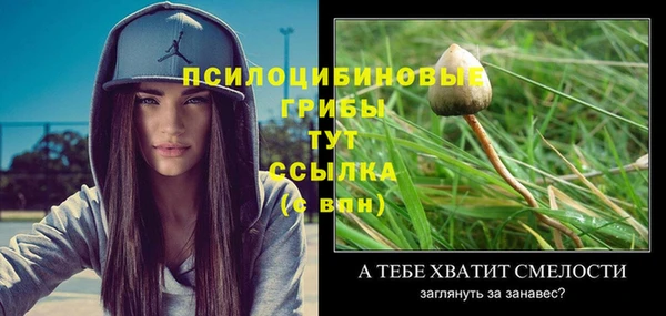 экстази Горнозаводск
