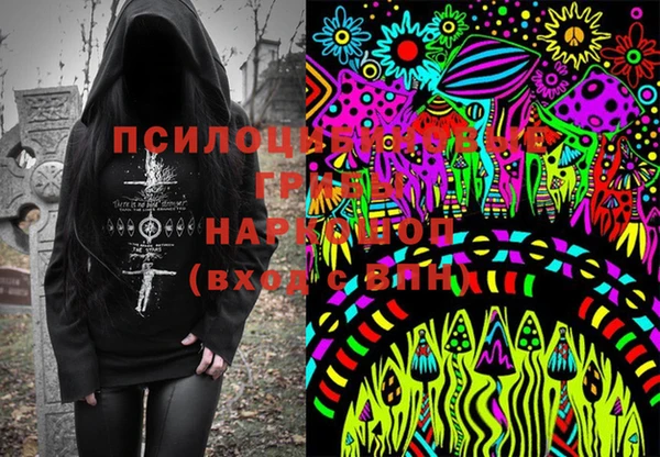 гашик Гусев