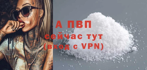 сатива Горняк