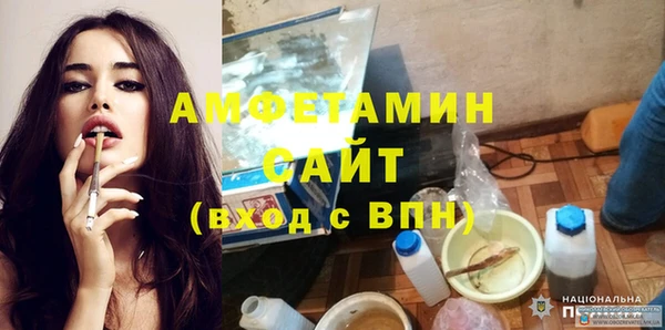 сатива Горняк