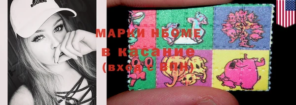 сатива Горняк